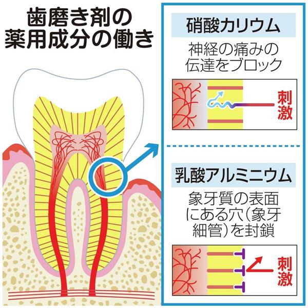 http://www.totani-dc.com/blog/photo/%E7%9F%A5%E8%A6%9A%E9%81%8E%E6%95%8F.jpg