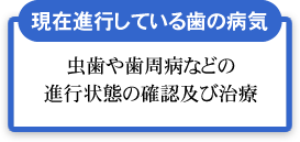 現在進行している歯の病気（虫歯や歯周病などの進行状態の確認及び治療）