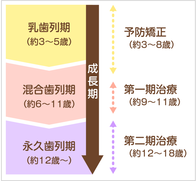 【成長期】乳歯列期（約3～5歳）・予防矯正（約3～8歳）｜混合歯列期（約6～11歳）・第一期治療（約9～11歳）｜永久歯列期（約12歳～）・第二期治療（約12～18歳）