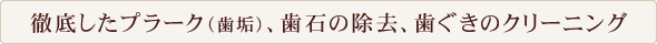 徹底したプラーク（歯垢）、歯石の除去、歯ぐきのクリーニング