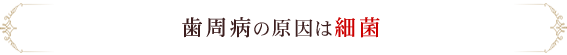 歯周病の原因は細菌