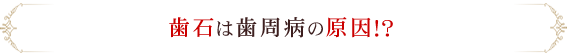 歯石は歯周病の原因！？