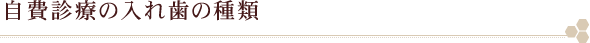 自費診療の入れ歯の種類